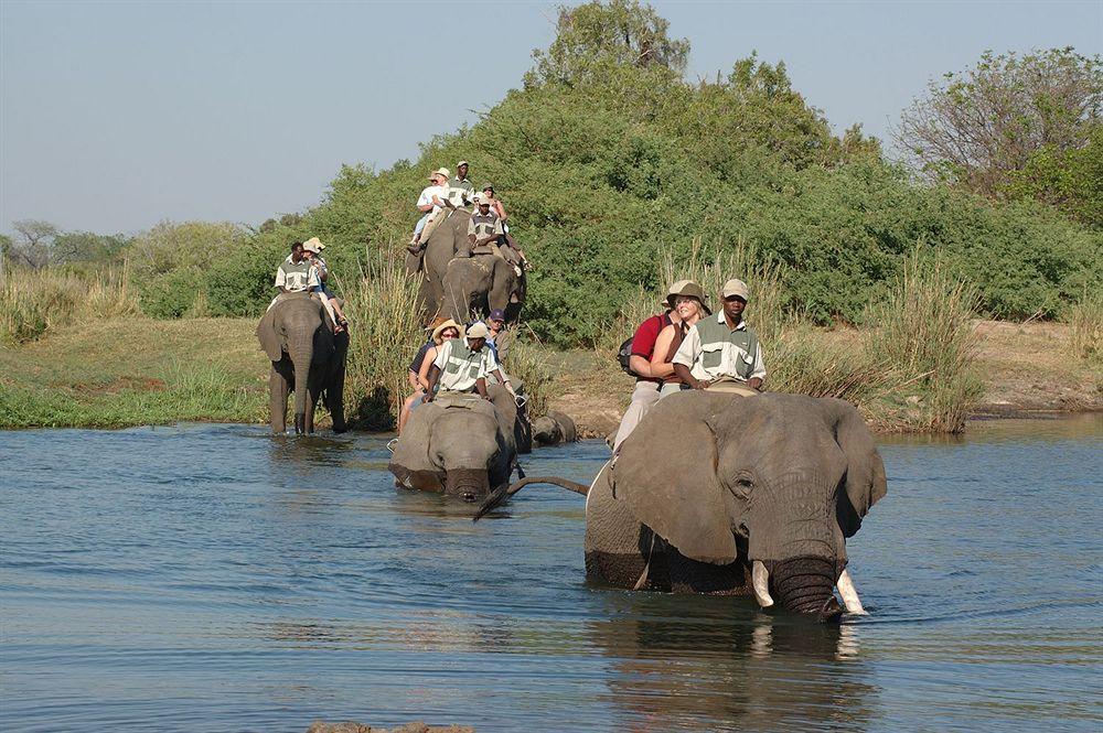 Three Cities Thorntree River Lodge Livingstone Kültér fotó